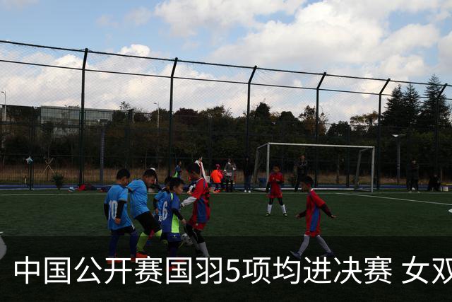 中国公开赛国羽5项均进决赛 女双提前包揽冠亚军