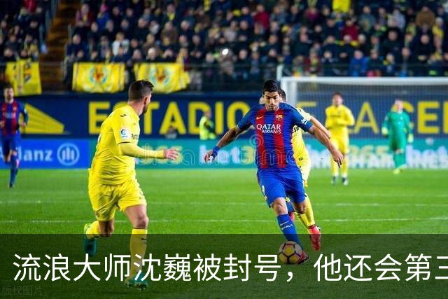 流浪大师沈巍被封号，他还会第三次复出么？